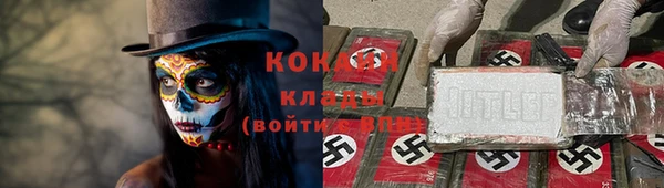 прущие грибы Бронницы