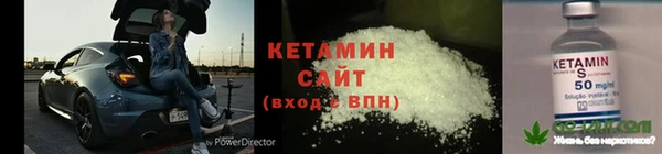 прущие грибы Бронницы