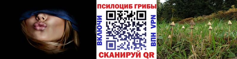 Галлюциногенные грибы ЛСД закладка Кинель